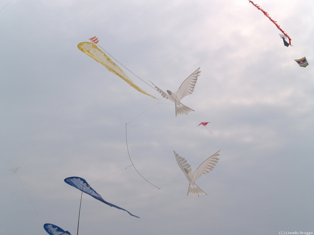 Cervia 2011-134.jpg